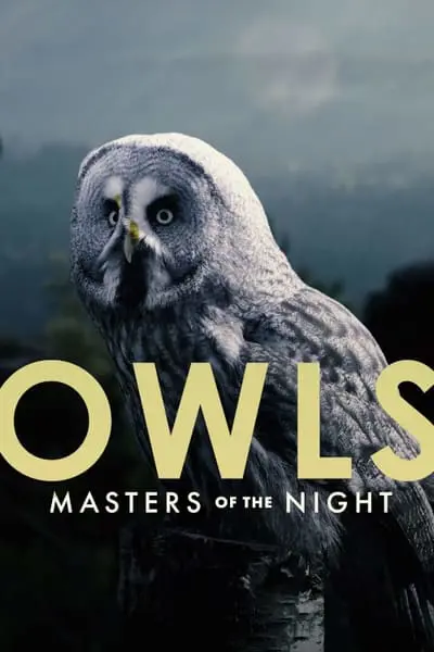 Owls: Masters of the Night_poster