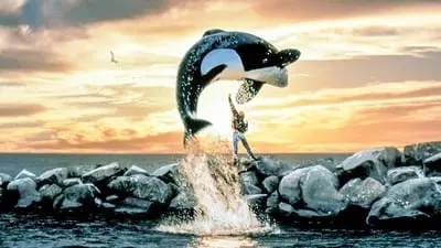 Özgür Willy_backdropimg