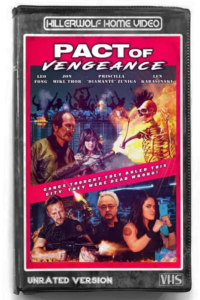 Pact of Vengeance_poster