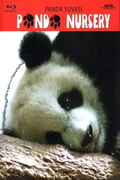 Panda Nursery_poster