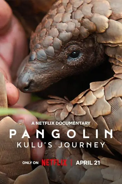 Pangolin: Kulu'nun Yolculuğu_poster