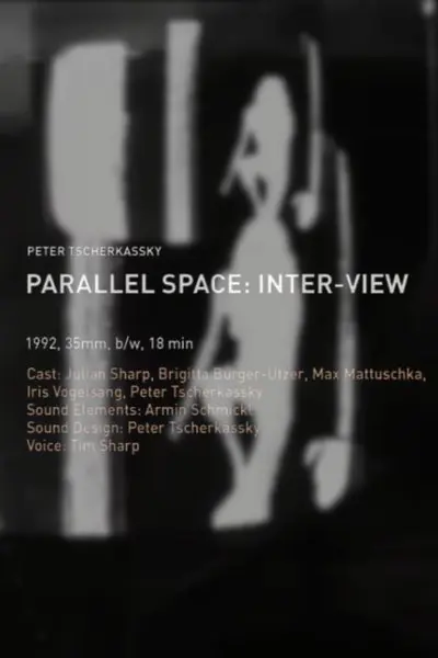 Parallel Space: Inter-View_poster