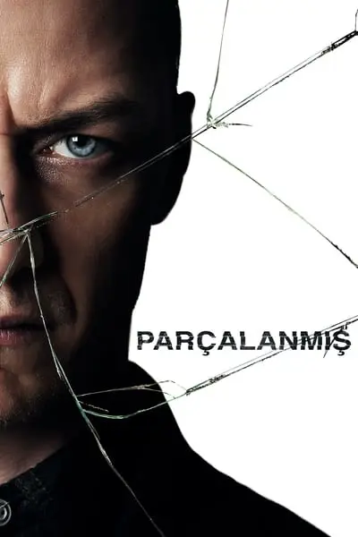 Parçalanmış_poster