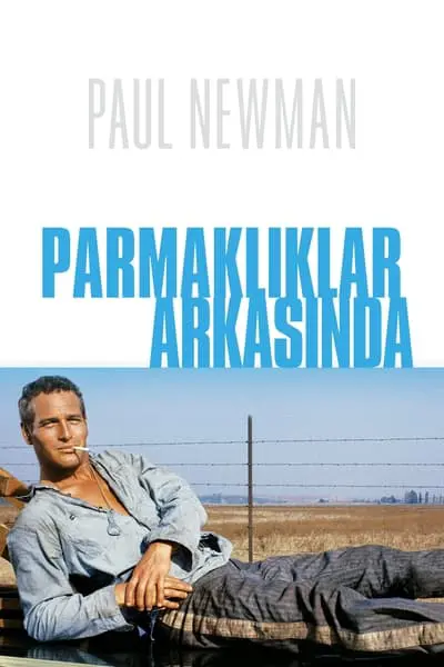 Parmaklıklar Arasında_poster