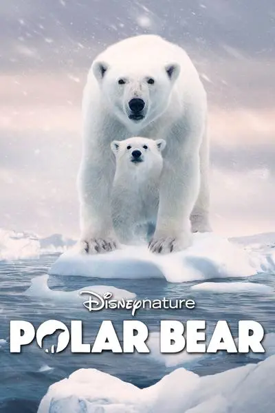 Polar Bear_poster