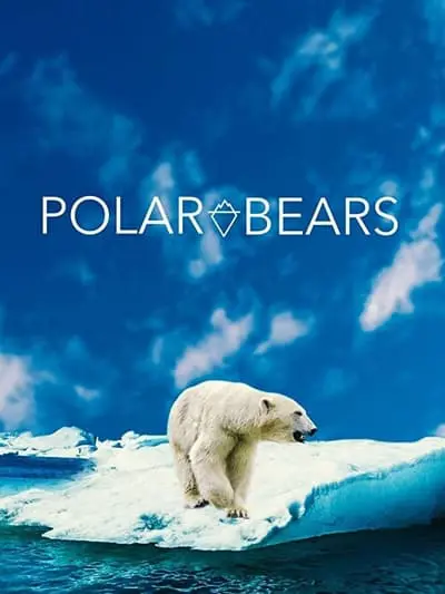 Polar Bears_poster