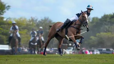 Polo_backdropimg