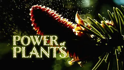 Power Of Plants_backdropimg