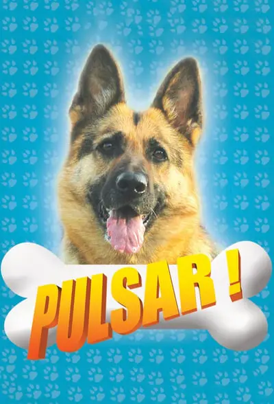 Pulsar_poster