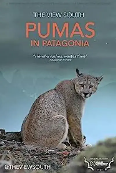 Pumas in Patagonia_poster