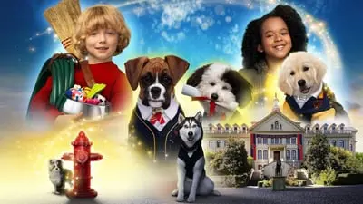 Pup Academy_backdropimg