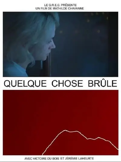 Quelque chose brûle_poster