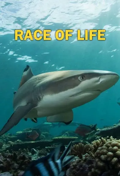 Race of life_poster
