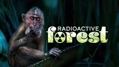 Radioactive Forest: 10 Years After_backdropimg