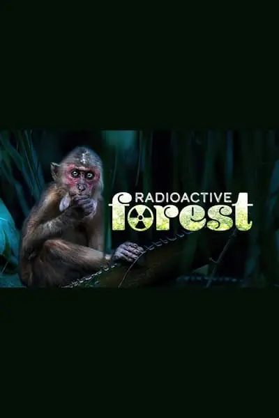 Radioactive Forest: 10 Years After_poster