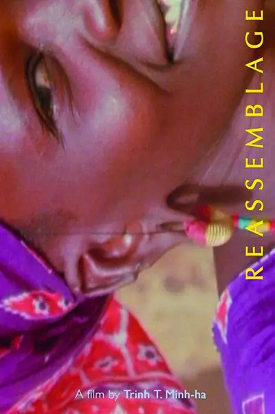 Reassemblage: From the Firelight to the Screen_poster