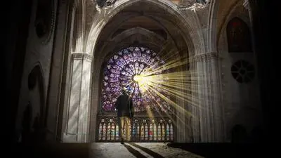 Rebuilding Notre-Dame_backdropimg