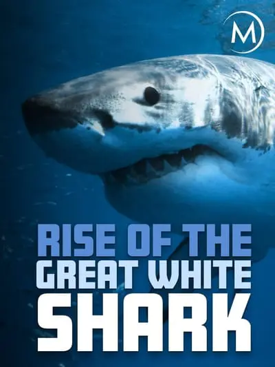 Rise Of The Great White Shark_poster