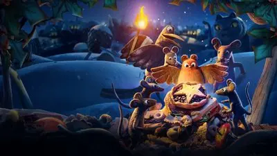 Robin Robin_backdropimg