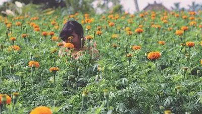 Rocket Rain_backdropimg