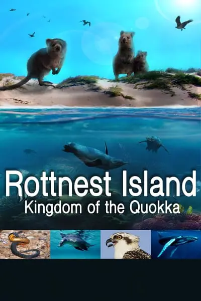 Rottnest Island: Kingdom Of The Quokka_poster