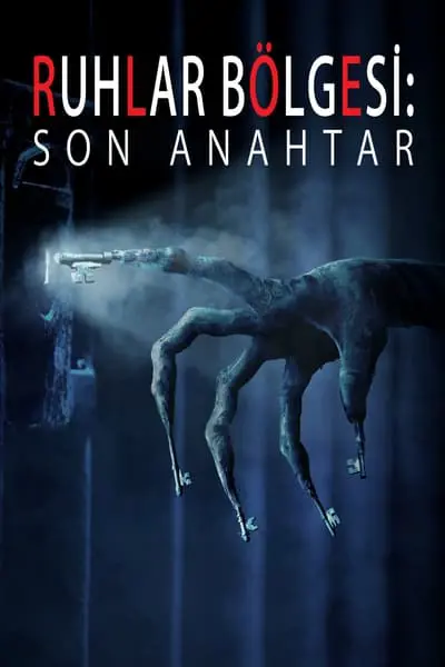 Ruhlar Bölgesi: Son Anahtar_poster