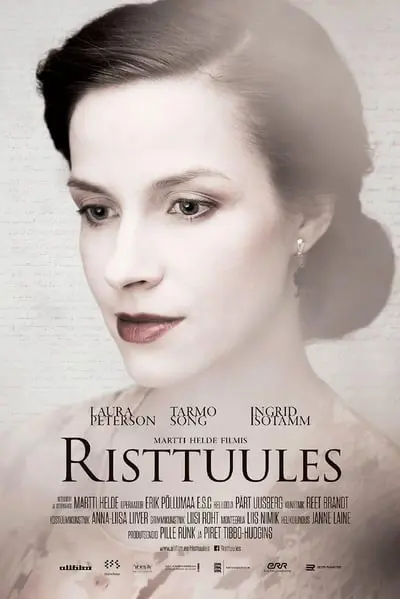 Rüzgarların Arasında_poster