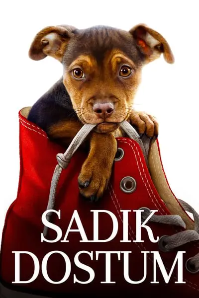 Sadık Dostum_poster