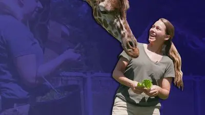 Sam's Zookeeper Challenge_backdropimg
