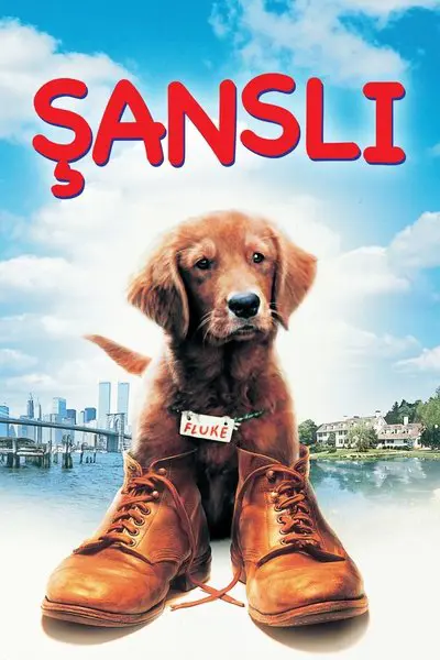 Şanslı_poster