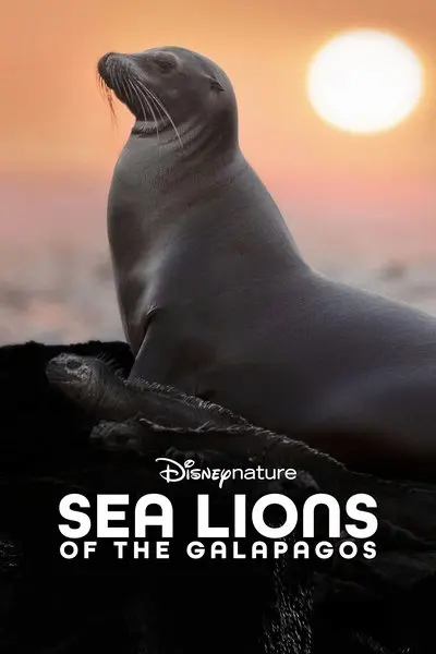 Sea Lions of the Galapagos_poster