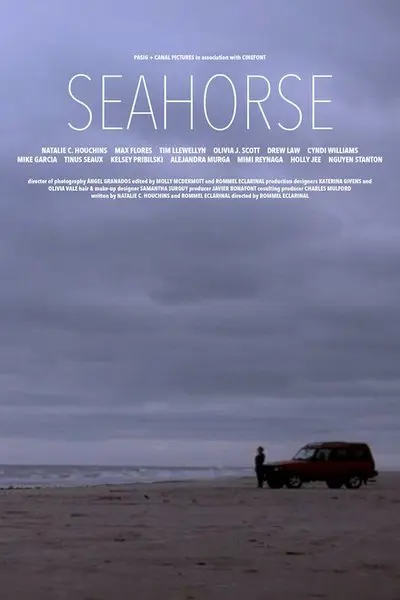 Seahorse_poster