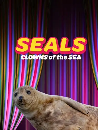 Seals - Clowns of the Sea_poster