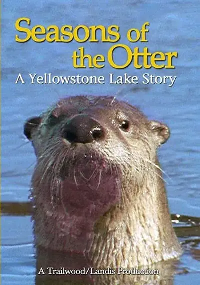 Seasons of the Otter_poster