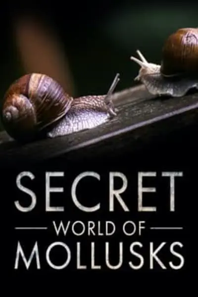Secret World of Mollusks_poster