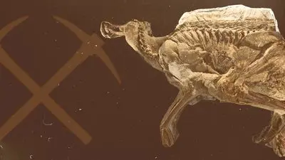 Secrets of the Dinosaur Mummy_backdropimg