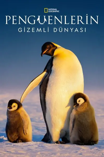 Secrets of the Penguins_poster