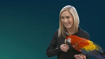 Secrets of the Zoo: Keeper Tales_backdropimg