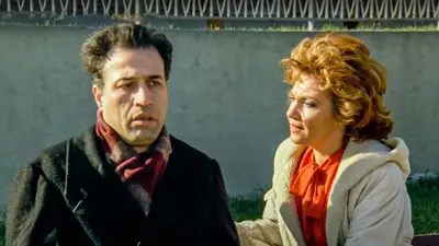 Şendul Şaban_backdropimg
