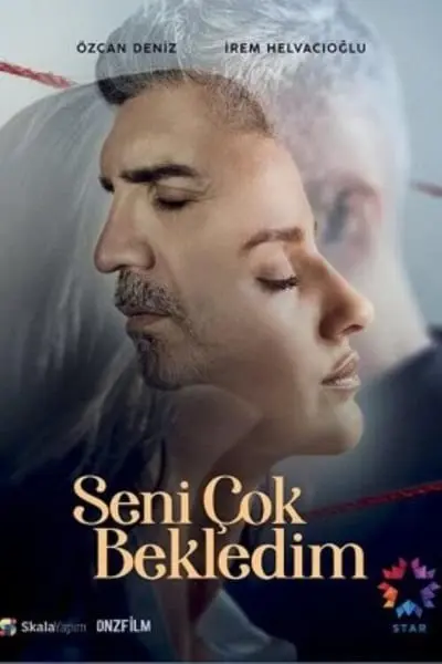 Seni Çok Bekledim_poster