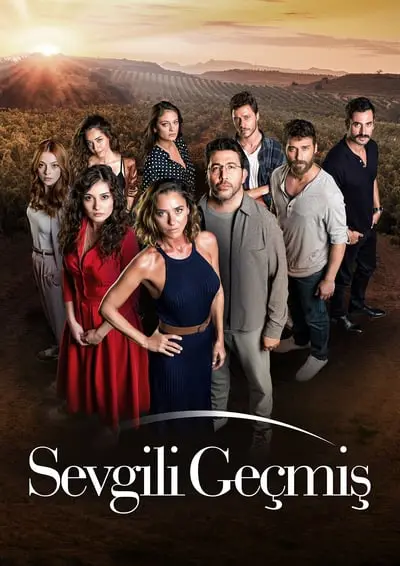Sevgili Geçmiş_poster