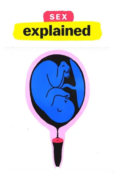 Sex, Explained_poster