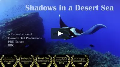 Shadows in a Desert Sea_backdropimg
