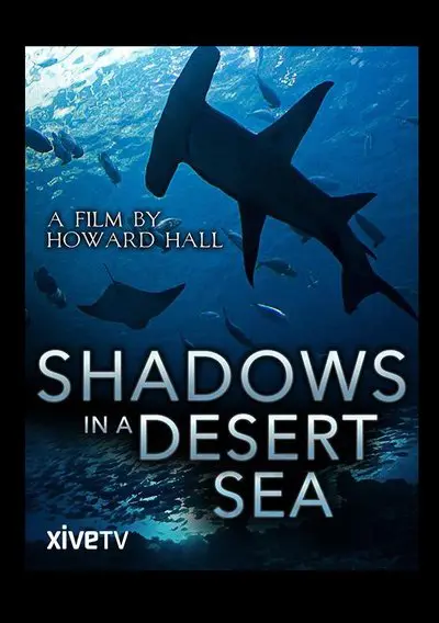 Shadows in a Desert Sea_poster