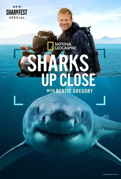 Sharks Up Close with Bertie Gregory_poster