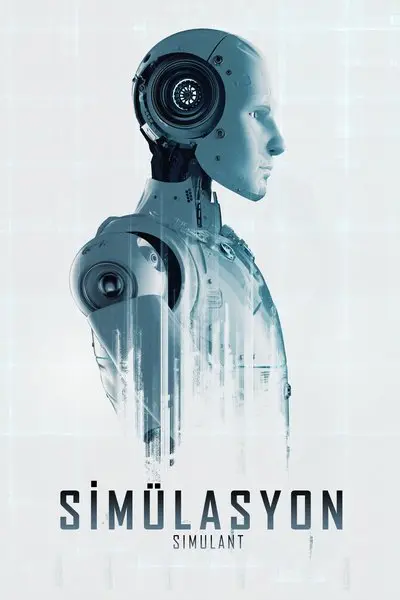Simülasyon_poster