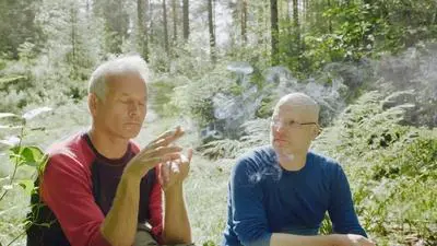 Skogen_backdropimg