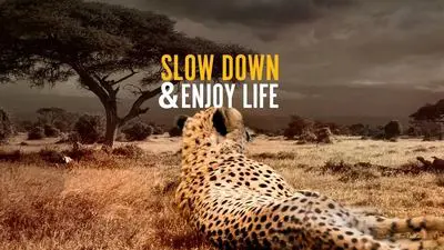 Slow Down and Enjoy Life_backdropimg