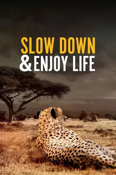 Slow Down and Enjoy Life_poster