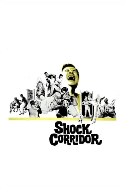 Şok Koridoru_poster